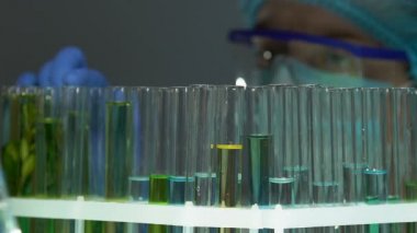 Laboratuvar işçisi raf sarı madde ile test tüpü alarak, kalite kontrol