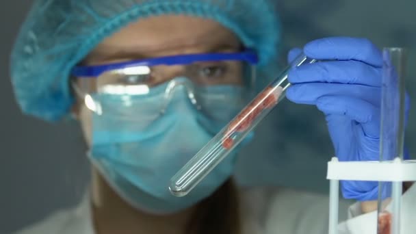 Trabajador de laboratorio en gafas de seguridad comprobando la muestra de carne en control de calidad del tubo — Vídeos de Stock