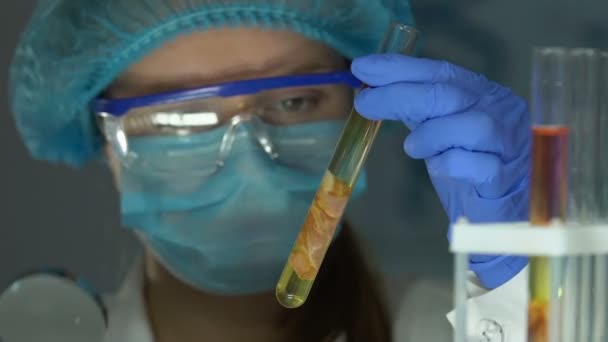 Ricercatrice che esamina il campione di carne in tubo con lente d'ingrandimento, competenza — Video Stock