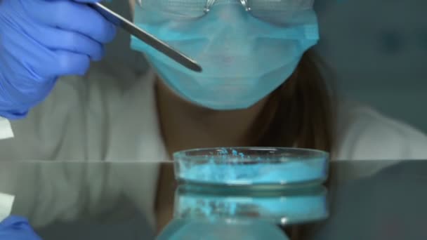 Лаборант в защитных очках проверяет голубые химикаты, бытовое производство — стоковое видео
