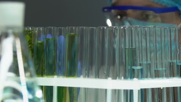 Biokemist som kontrollerar olika prov rörs prov efter experiment i laboratorium — Stockvideo