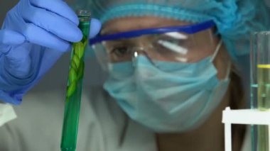 Biologist tüp bitki örnek bakarak, Tablet PC araştırma sonucu yazarak