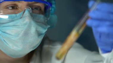Laboratuar işçisi test tüpü et örnek bakarak, ASF reaksiyon riskini izleme