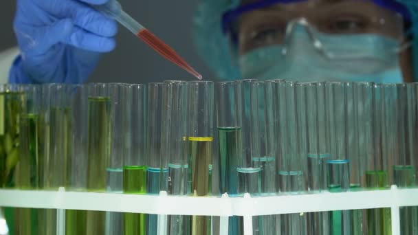 Laborexperte gießt rote Flüssigkeit in Röhre mit öliger Substanz, Parfümeur-Extrakt — Stockvideo