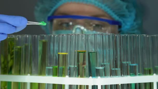 테스트 튜브, 천연 추출 물에 유성 물질에 녹색 분말을 추가 하는 연구원 — 비디오