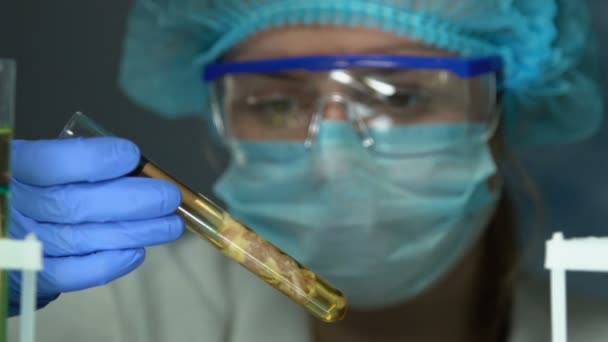 Trabalhador de laboratório verificando a amostra de carne no tubo de ensaio, digitando o resultado da pesquisa no tablet — Vídeo de Stock