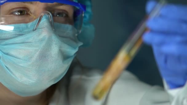 Lab worker looking at meat sample in test tube, monitoring reaction risk of asf — Stock Video