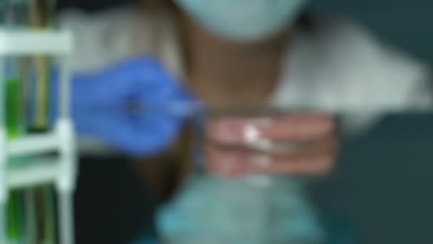 Professionelle Laborangestellte betrachtet Fleischprobe in Petrischale durch Lupe — Stockvideo
