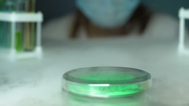 Лаборант проверяет зеленый пигмент в чашке Петри, натуральный экстракт растений, тест — стоковое видео