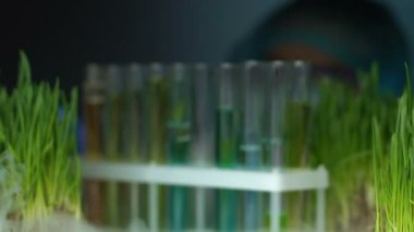 Laboratuar araştırmacısı, bitki test tüpünü ayrığı örneği ile karşılaştırarak, deney