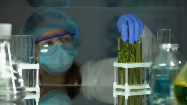 Biochimico studiando tubo con pianta verde attraverso lente d'ingrandimento, estrazione — Video Stock