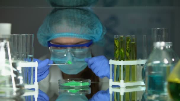 生物学者で、試験管中での植物抽出による緑色粉末の比較、研究 — ストック動画