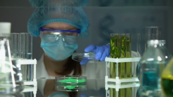 Исследователь сравнивает зеленый консервант с растением в трубке, влияние — стоковое видео