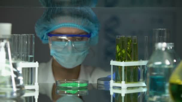 녹색 식물을 가진 관에 녹색 분말을 추가 하는 과학자, 농약 영향 — 비디오