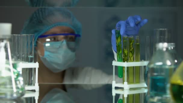 Biologo aggiunta di liquido in tubo con pianta verde preparazione farmaci di estrazione — Video Stock