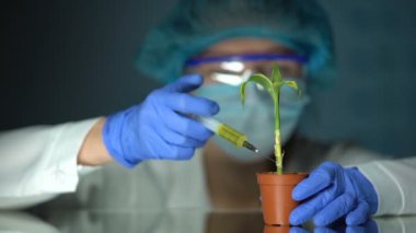 Biyolog bitkisel sıvı enjekte, üreme deneyi, fertilite iyileştirme