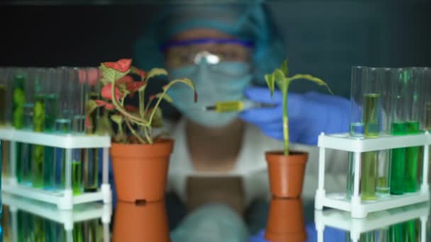 Βοηθός εργαστηρίου ενέσιμη λίπασμα στο φυτό γενετικά εκτροφείο — Αρχείο Βίντεο