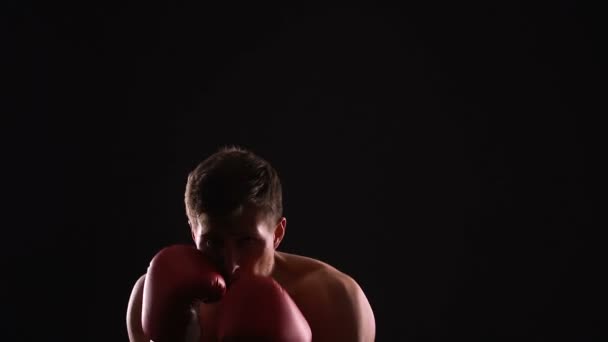 Athletischer Mann in Boxhandschuhen beim Training vor dem Kampf, voller Siegesgewissheit — Stockvideo