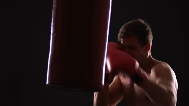 Профессиональный боксер, практикующий с боксерской грушей, мотивированный и нацеленный на победу — стоковое видео