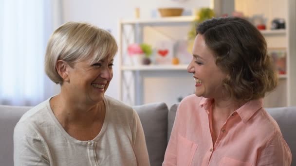 Nachbarinnen, die miteinander tratschen und lachen, vertrauensvolle Beziehungen, Zeitlupe — Stockvideo