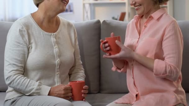 Duas mulheres bebendo chá e compartilhando experiência feminina, recomendações para a vida — Vídeo de Stock