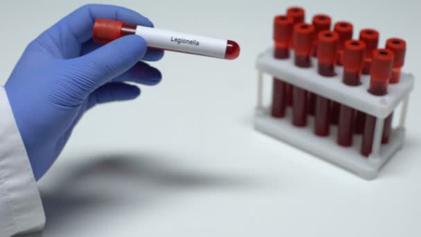 Legionella, läkare visar blodprov i tube, lab forskning, hälsokontroll — Stockvideo