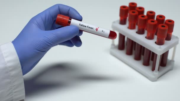 Test négatif de fièvre jaune, médecin montrant un échantillon de sang dans le tube, bilan de santé — Video