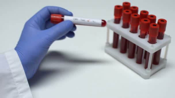 Отрицательный CMV тест, доктор показывает образец крови, лабораторные исследования, медицинский осмотр — стоковое видео