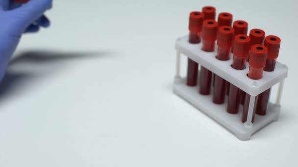 Θετικό τεστ βενζόλιο, ο γιατρός δείχνει δείγμα αίματος, εργαστηριακή έρευνα, τσεκ-απ υγείας — Αρχείο Βίντεο