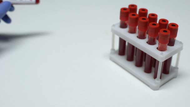 Positivo test di rosolia, medico che mostra campione di sangue, ricerca di laboratorio, controllo dello stato di salute — Video Stock