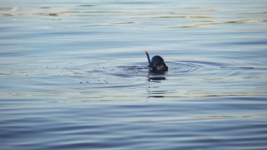 Dalgıç su şnorkel ücretsiz, işlem boğulan vücut için arama kurtarma