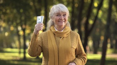 Yaşlı kadın dolarlarına Park sunan yığını gülümseyen, emeklilik planlanan