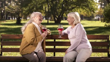 İki eski şarap içme ve Park, bankta konuşuyor Bayan mutlu altın yıllar