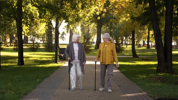 Två Leende Gamla Kvinnor Talar Promenader Parken Vårdhem För Äldre — Stockfoto