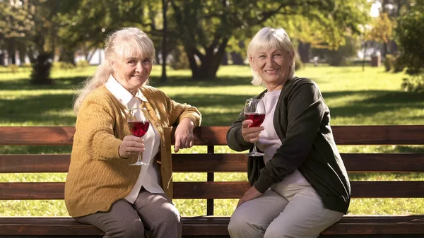 Twee Oma Vrienden Drinken Van Wijn Juichen Camera Gelukkig Gouden — Stockfoto