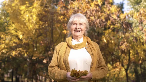 Glückliche Schöne Seniorin Spaziert Durch Herbstpark Und Spielt Mit Blättern — Stockfoto