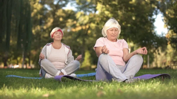 Mulheres Idosas Sentadas Posição Lótus Meditando Fazendo Ioga Parque Energia — Fotografia de Stock