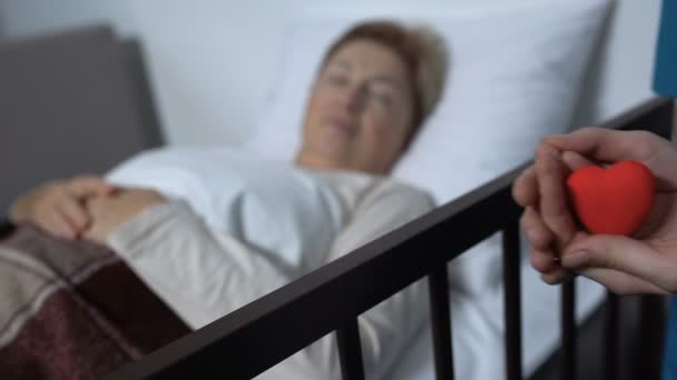 护士拿着玩具心在手在生病的女人在病床上的背景, 善良 — 图库视频影像