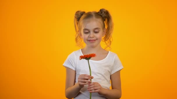 Gelukkig tiener meisje glimlachend, bedrijf mooie Gerbera bloem, verjaardagscadeau — Stockvideo
