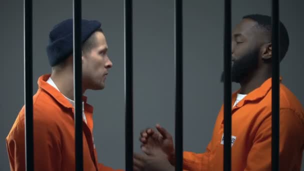 Schwarze und kaukasische Gefangene kämpfen in der Zelle, Überfüllung des Gefängnisses, Kampf — Stockvideo
