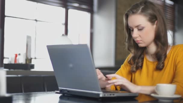 Senhora focada trabalhando no laptop no café, desenvolvimento de start-up, novas oportunidades — Vídeo de Stock