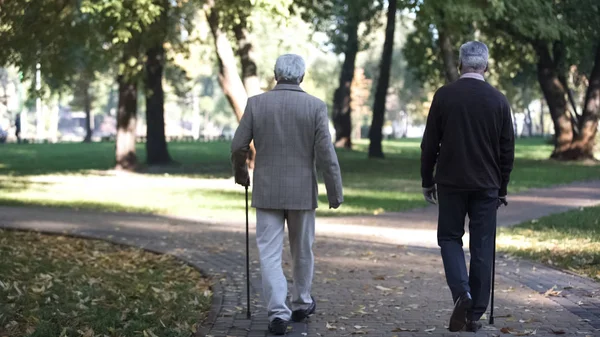 Két Öregember Séta Parkban Napsütéses Napon Idősek Otthonában Idős Embereknek — Stock Fotó
