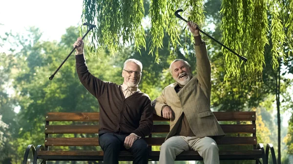 Two Smiling Senior Men Canes Raised Happy Life Old Age — Stock Photo, Image