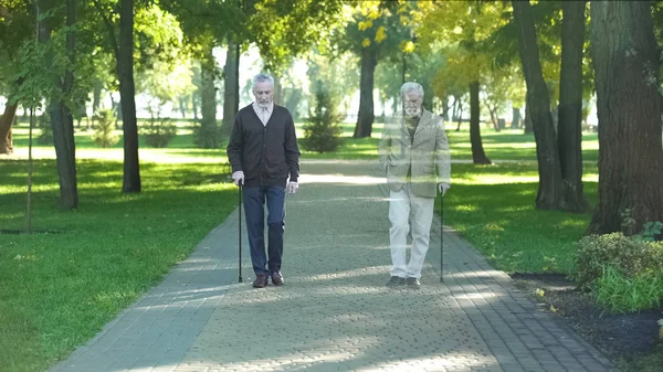Yaşlı Iyi Arkadaşlar Parkta Gün Yürüyüş Bir Erkek Kayboluyor Anılar — Stok fotoğraf