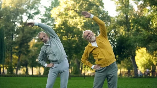 Two Aged Pensioners Doing Morning Exercises Park Fitness Activity Wellness — Stock Photo, Image