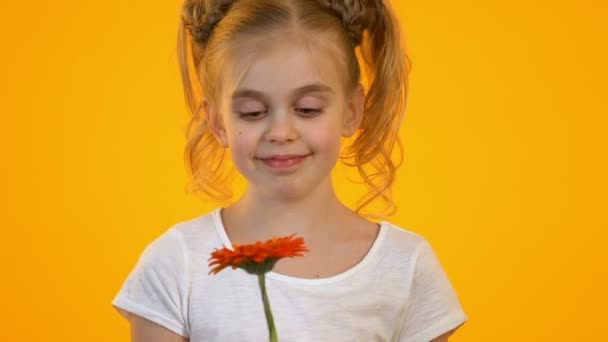 Schattig blond kind kijken naar rood gouden-Daisy vreugde aanwezig van geheime bewonderaar — Stockvideo