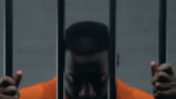 Afectado prisionero afroamericano sosteniendo barras en la celda y mirando a la cámara, culpable — Vídeo de stock