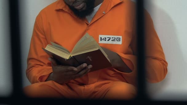 Siyah erkek mahkum hücrede Kutsal İncil okuma, af için umut, kefaret — Stok video