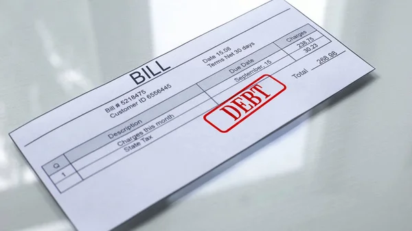 Debt Seal Stamped Bill Payment Services Month Expenses Close — Stock Photo, Image