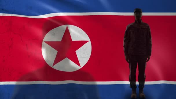 Nordkoreanische Soldatensilhouette salutiert gegen Sondereinsatz unter Nationalflagge — Stockvideo